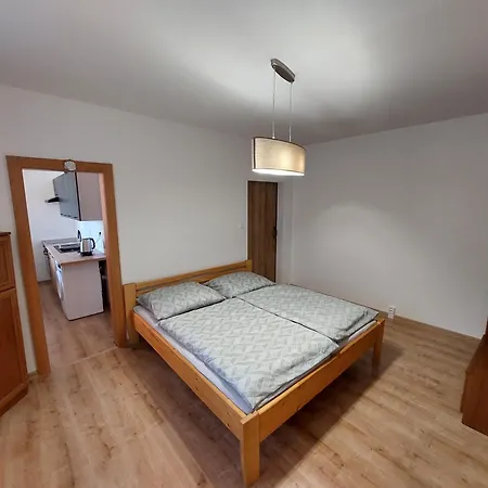 Apartman, V Srdci Kralovskeho Mesta- דירה *