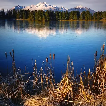 Apartman Apartman, V Srdci Kralovskeho Mesta- *